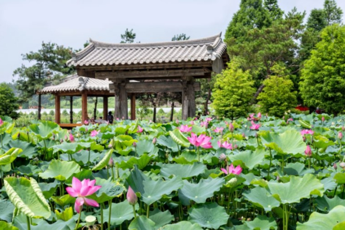 태안 가볼만한곳 베스트10