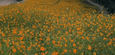 서울근교 단풍 명소 추천