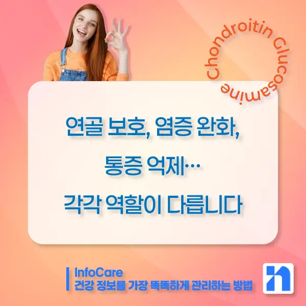 콘드로이친, 글루코사민, MSM, 보스웰리아, 마그네슘 관절영양제 효능 비교
