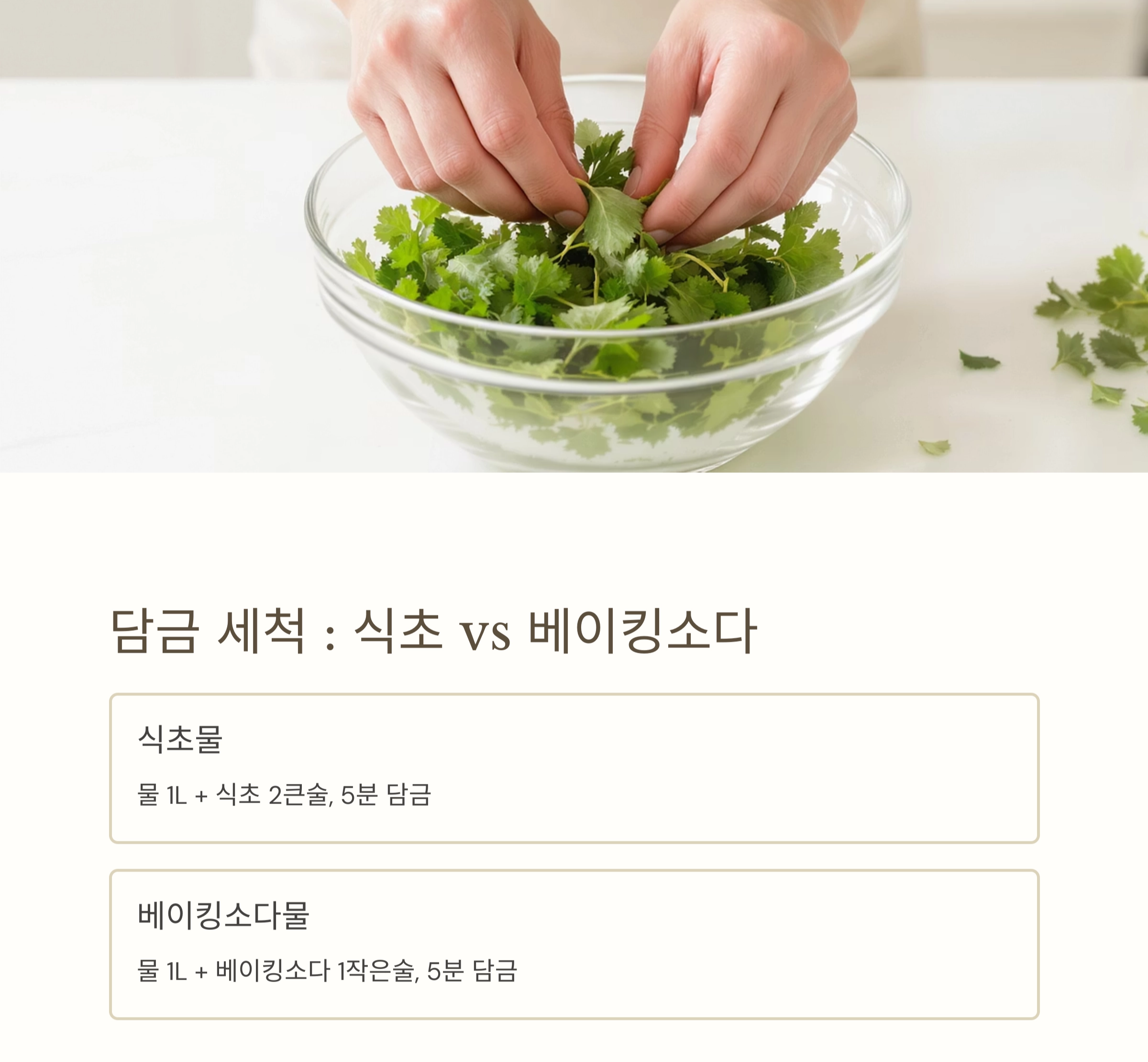 깻잎에 남은 이물질까지 말끔하게! 초보도 쉽게 하는 세척법