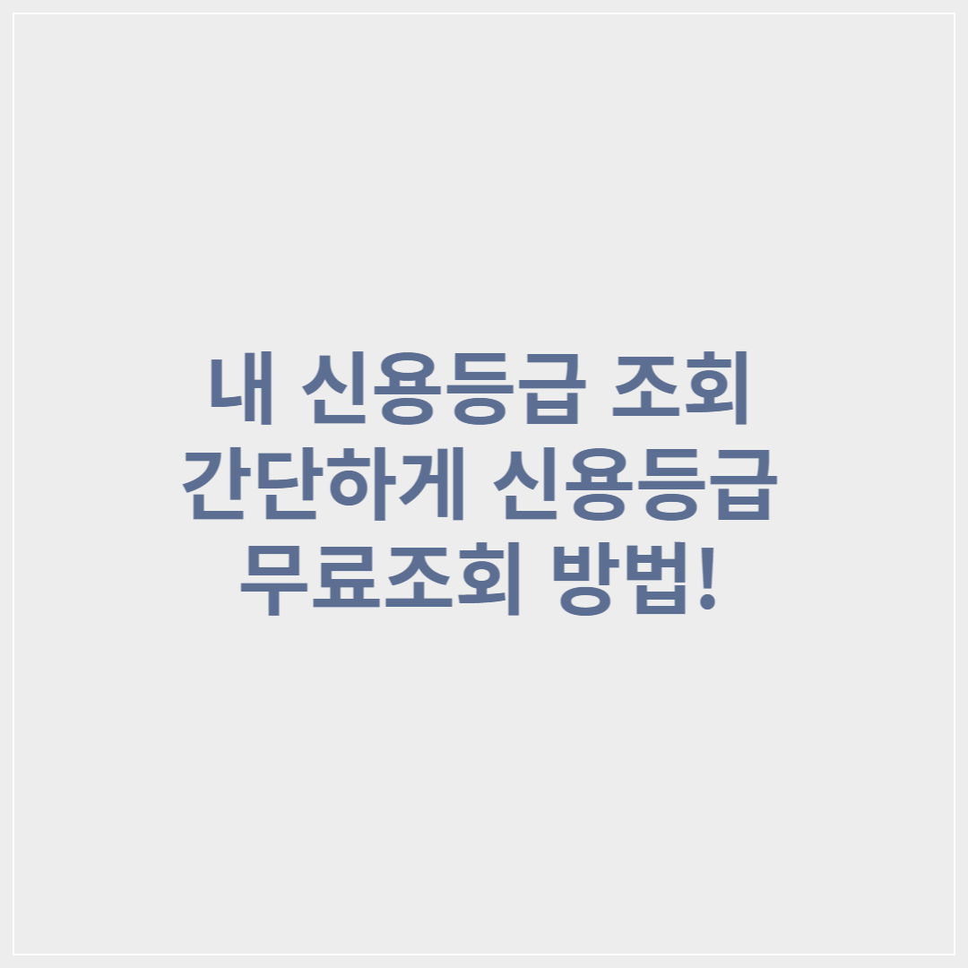내 신용등급 조회