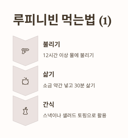 루피니빈 먹는법 1