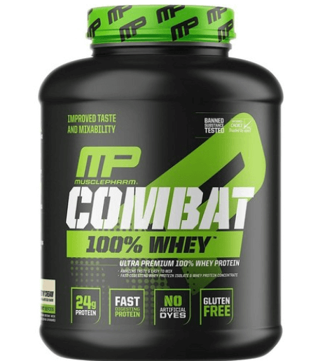 단백질 보충제 추천