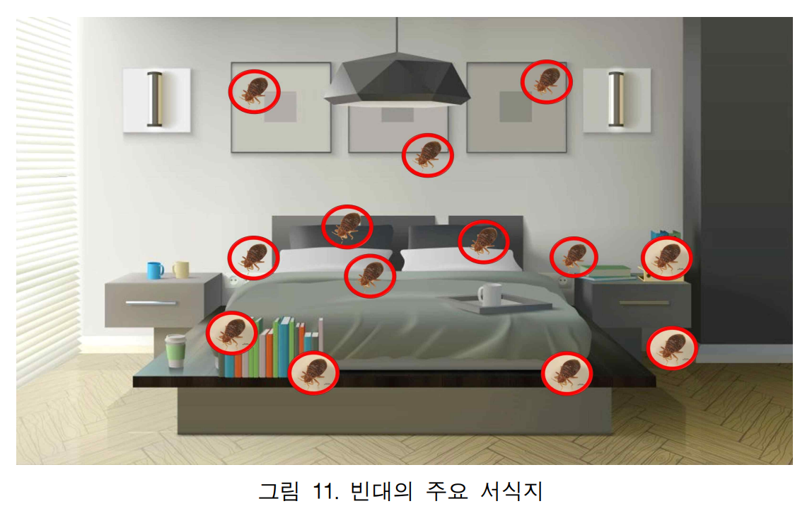 빈대 서식지