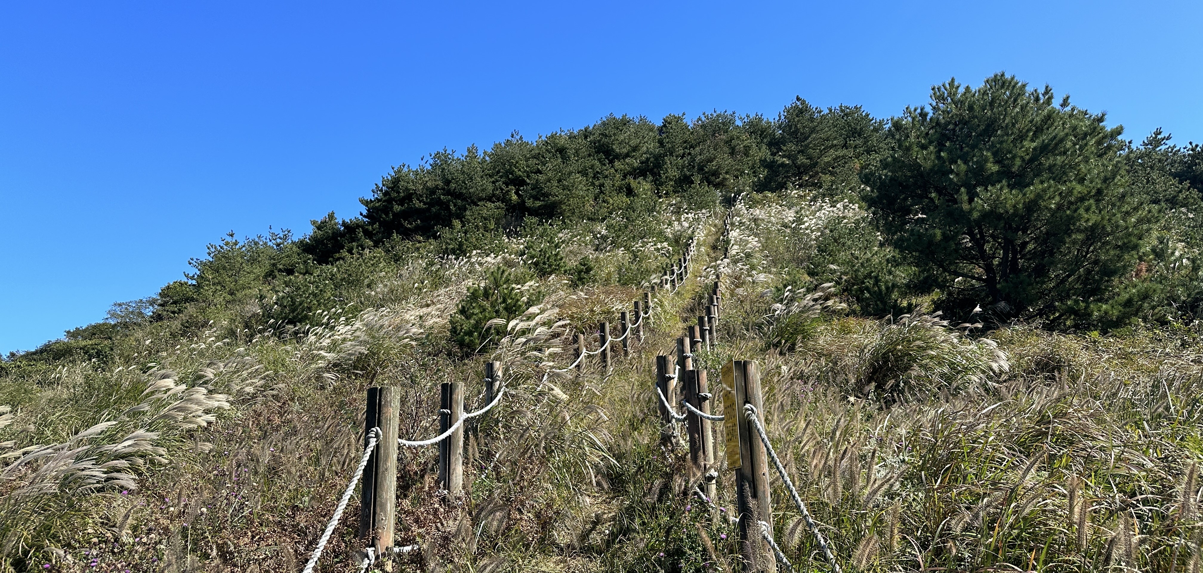 동검은이오름 / 동거문오름 탐방로