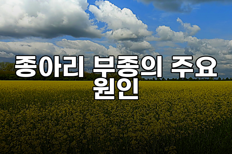 종아리 부종의 주요 원인