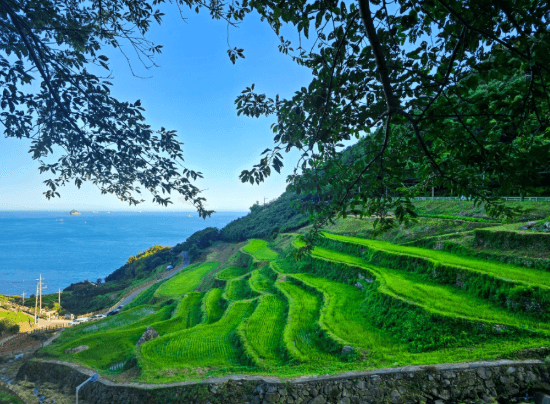 남해다랭이마을