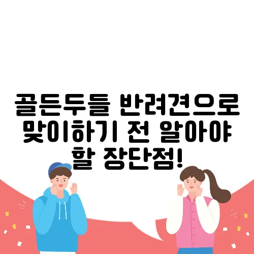 골든두들 반려견으로 맞이하기 전 알아야 할 장단점!