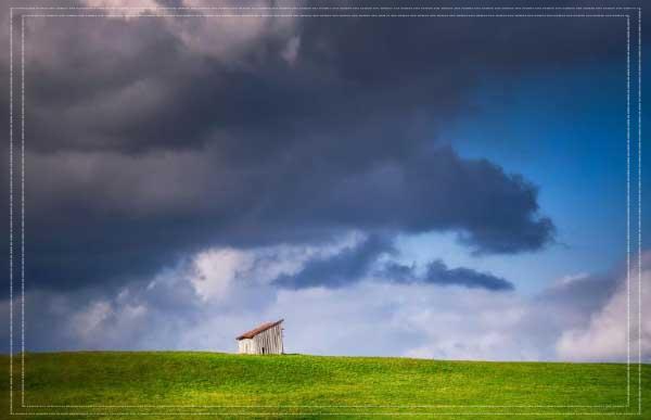 동백패스 환급일