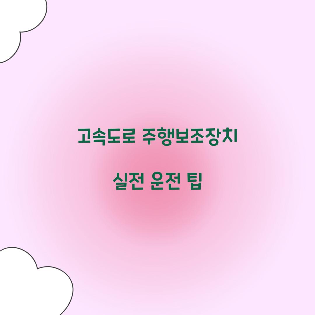 고속도로 주행보조장치