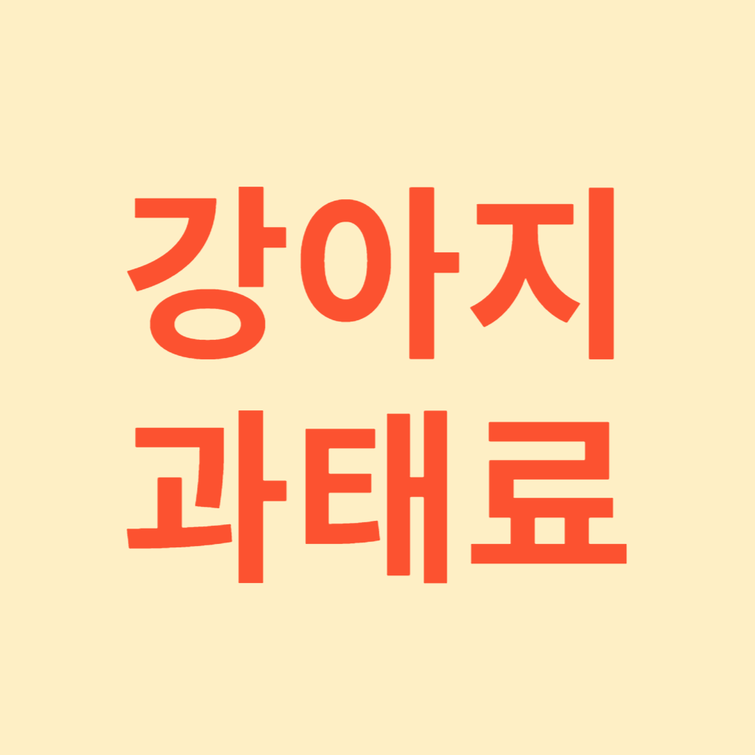 강아지 과태료