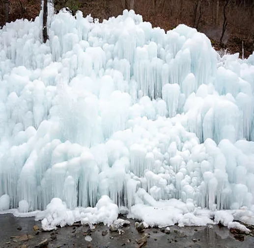 비슬산자연휴양림