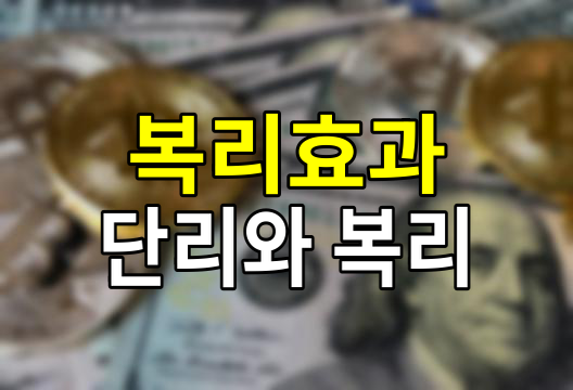 복리 효과와 이자의 종류, 단리 vs 복리