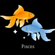 월간 별자리운세