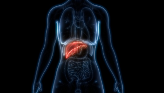 A형간염 예방접종은 모든 연령에서 고려