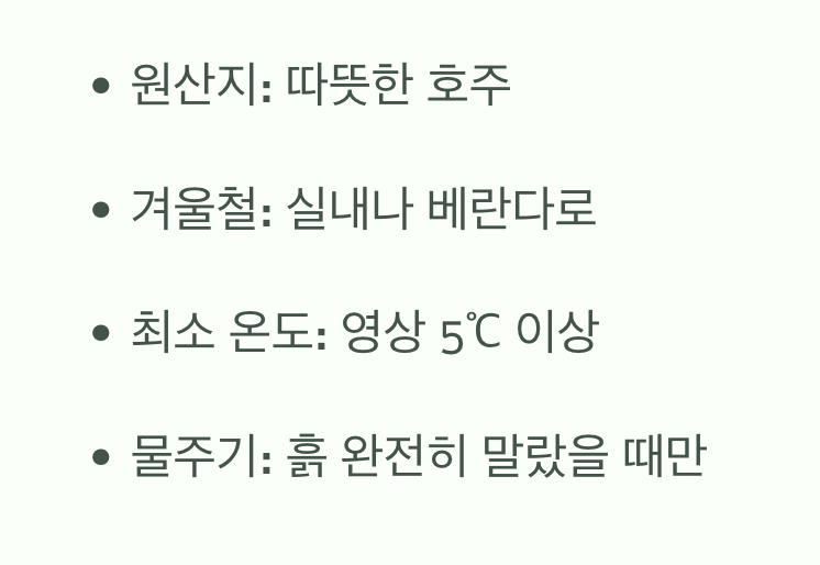 겨울, 따뜻한 베란다에서의 휴식