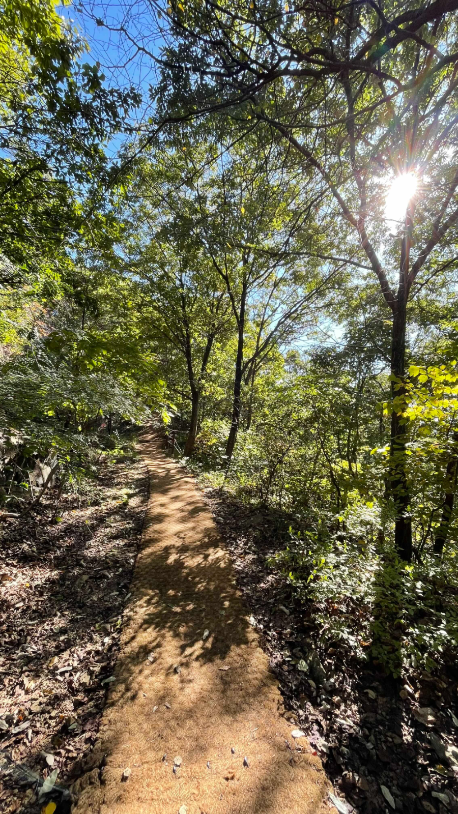 파주 감악산 출렁다리