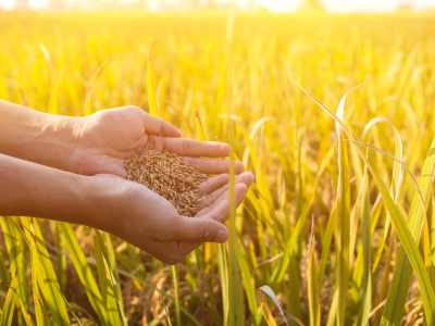 농지연금 가입조건 수령액 계산 총정리