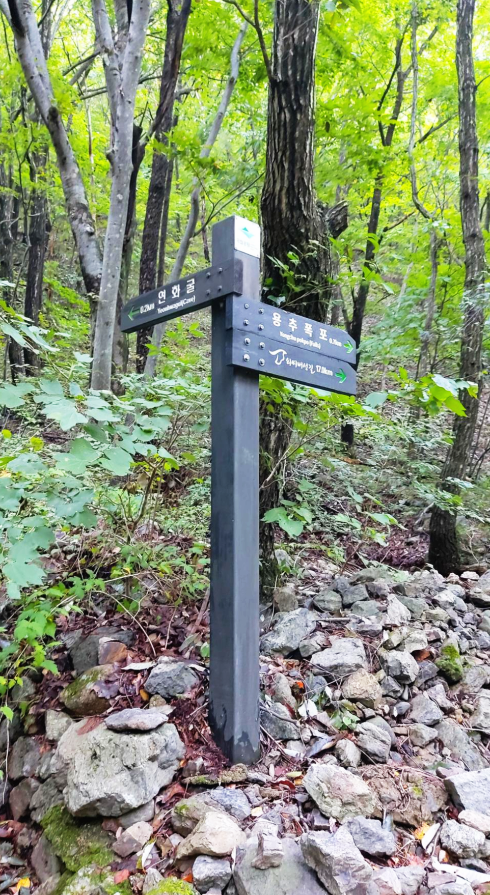 경북 청송군 주왕산 국립공원 이정표