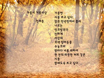 가을 시 모음 5편 추천 선별_19