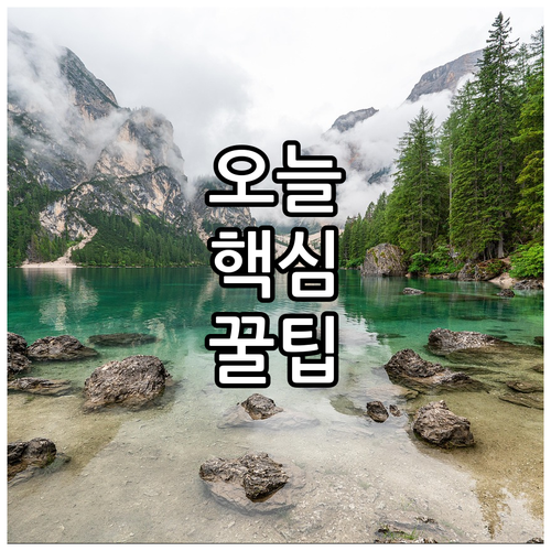 초보운전 필수 자동차 경고등 종류별 