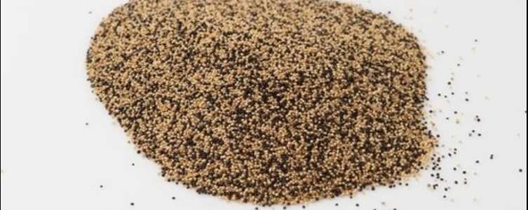 혈압 낮추는 음식 - 아마란스