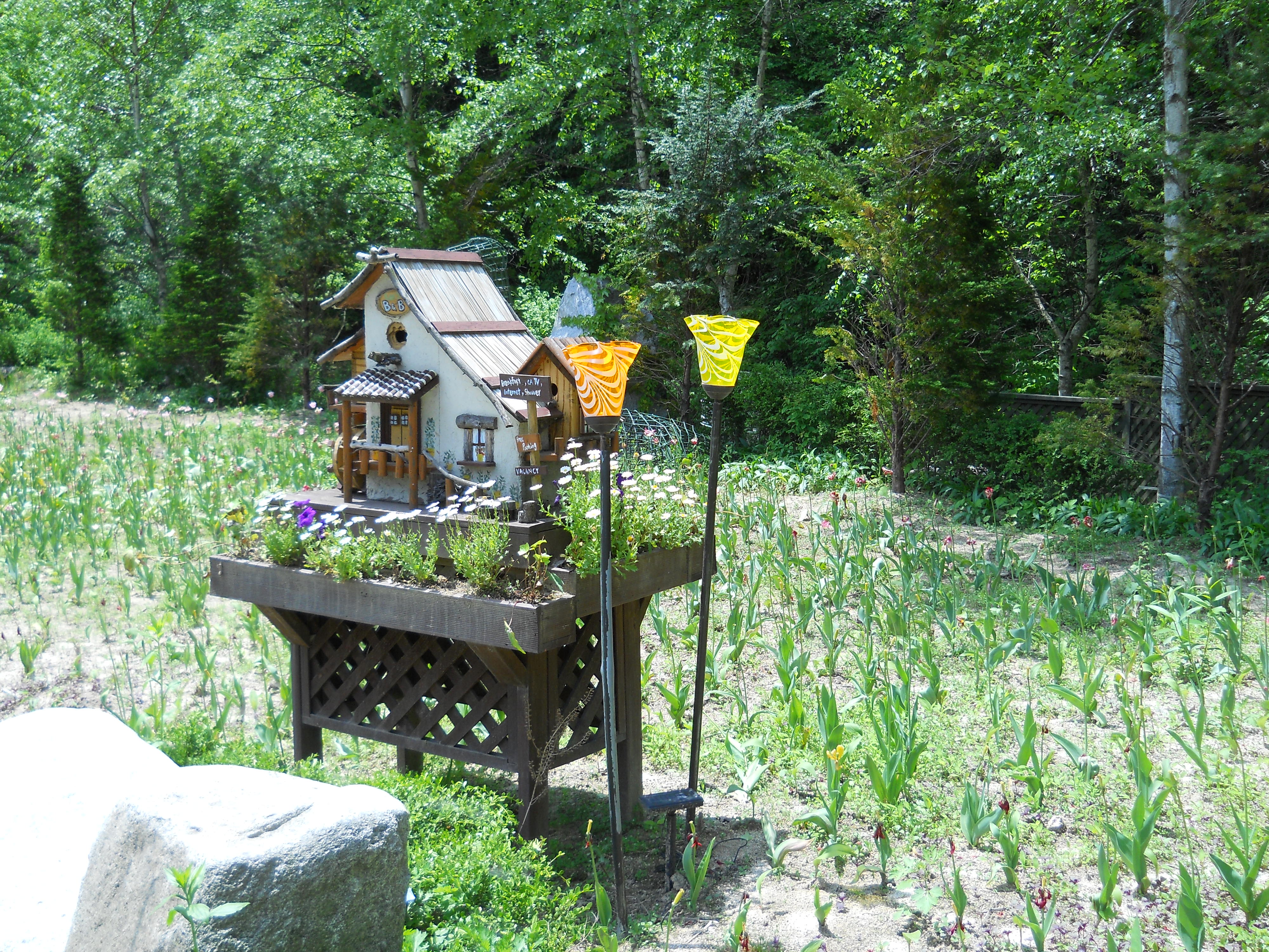 평창 허브나라 농원(Herbnara Farm)