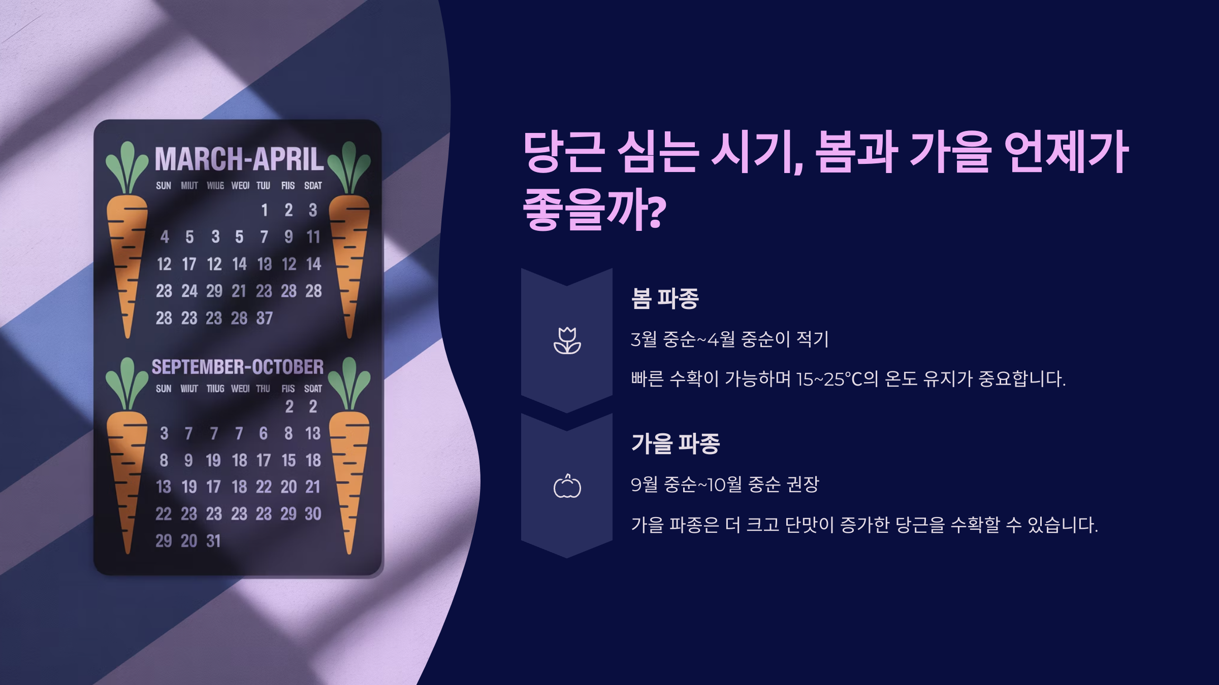 "매끈한 다리"를 위한 밭 준비와 씨앗 파종법 🚜