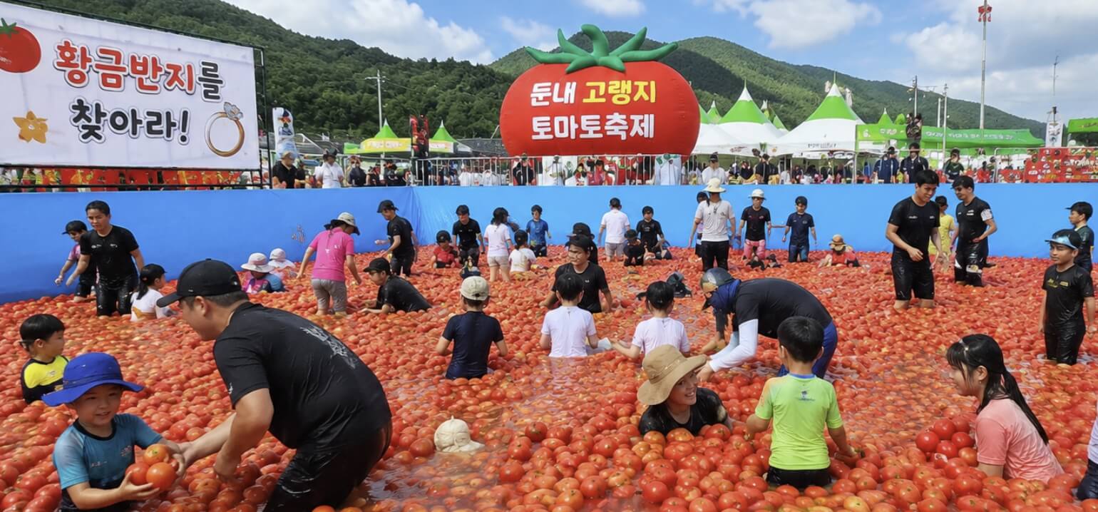 둔내고랭지토마토축제