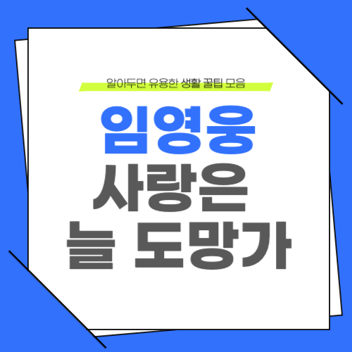 임영웅 사랑은 늘 도망가 신사와 아가씨 가사 음원 노래 듣기