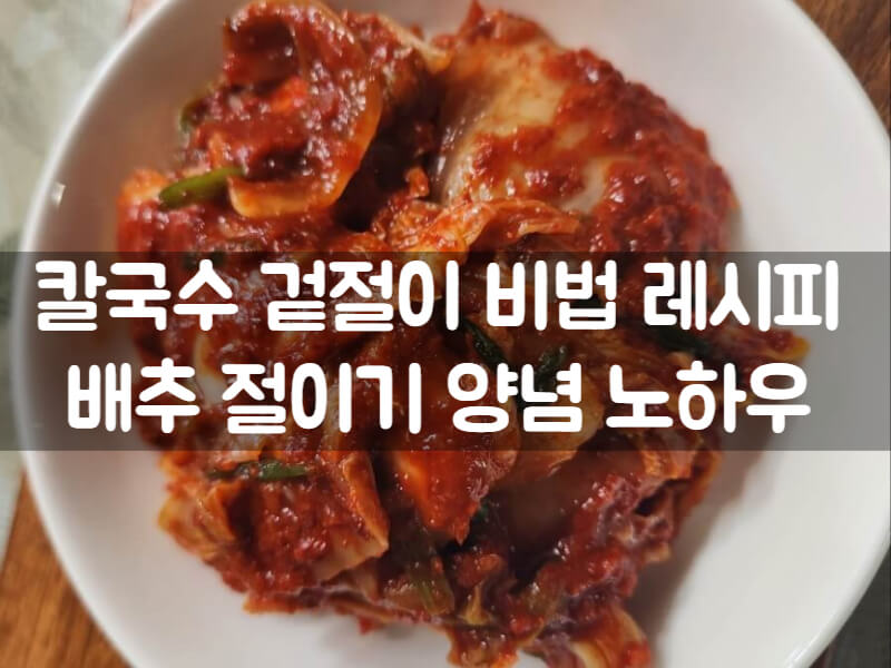 배추겉절이김치 절이기 매운겉절이 레시피 김치효능 칼로리 정리