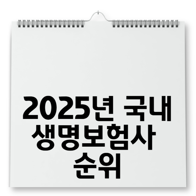 2025년 국내 생명보험사 순위