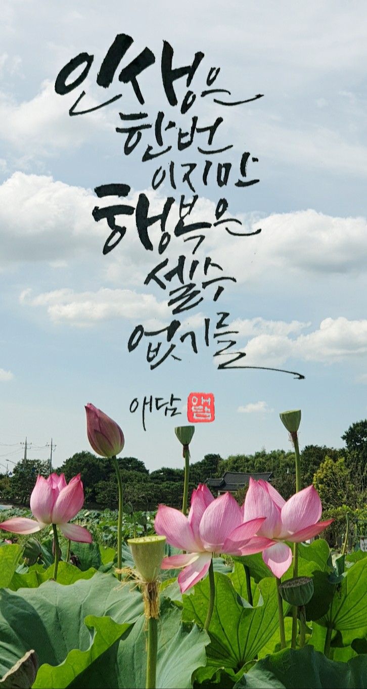가을이미지