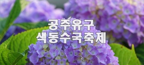 수국축제