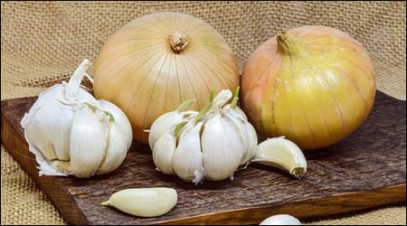 양파와 마늘