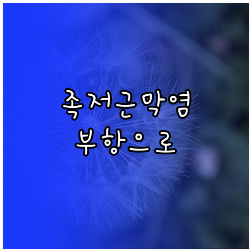 족저근막염 부항 요법 효과와 생활 속..