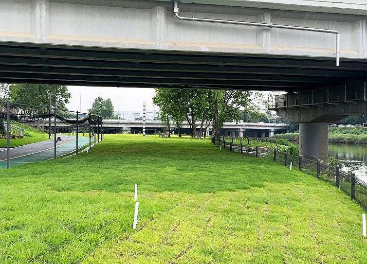 서울 강남 세곡동 탄천파크골프장 소개