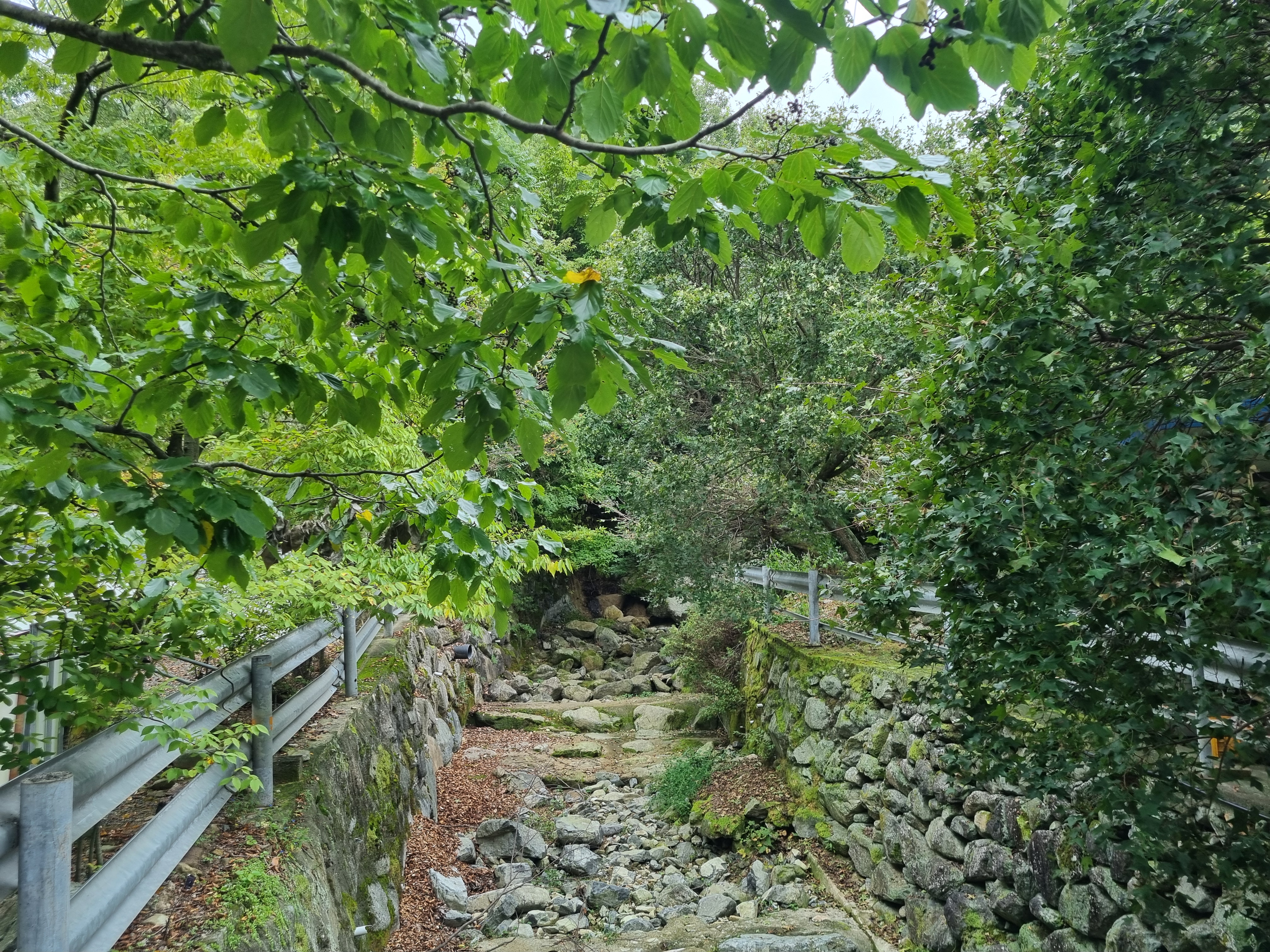 까투리오토캠핑장