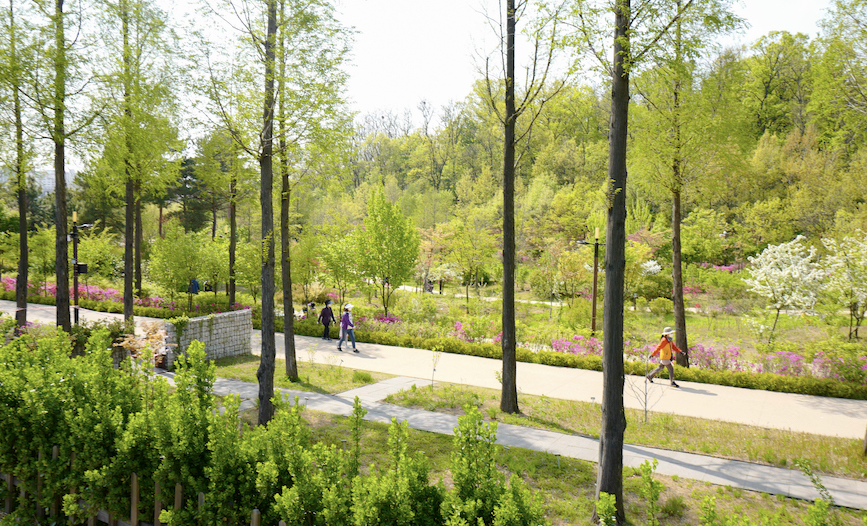 푸른 수목원 이미지