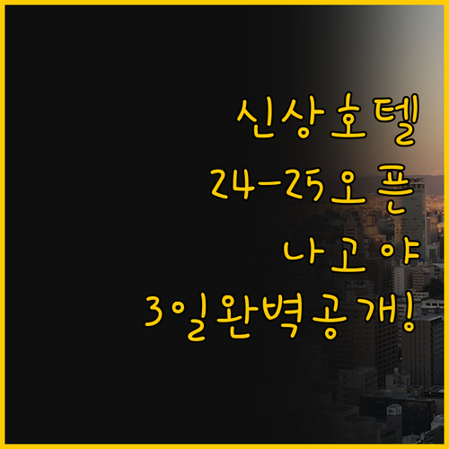 2024년 2025년 오픈 나고야 최..