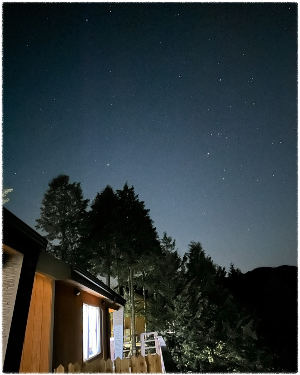 하동편백자연휴양림