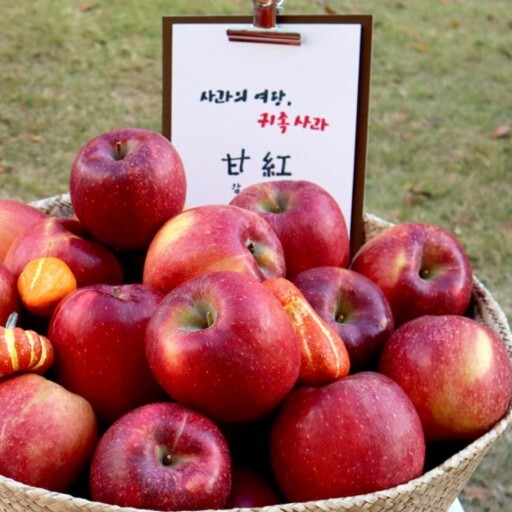 바구니 안에 있는 수많은 감홍사과