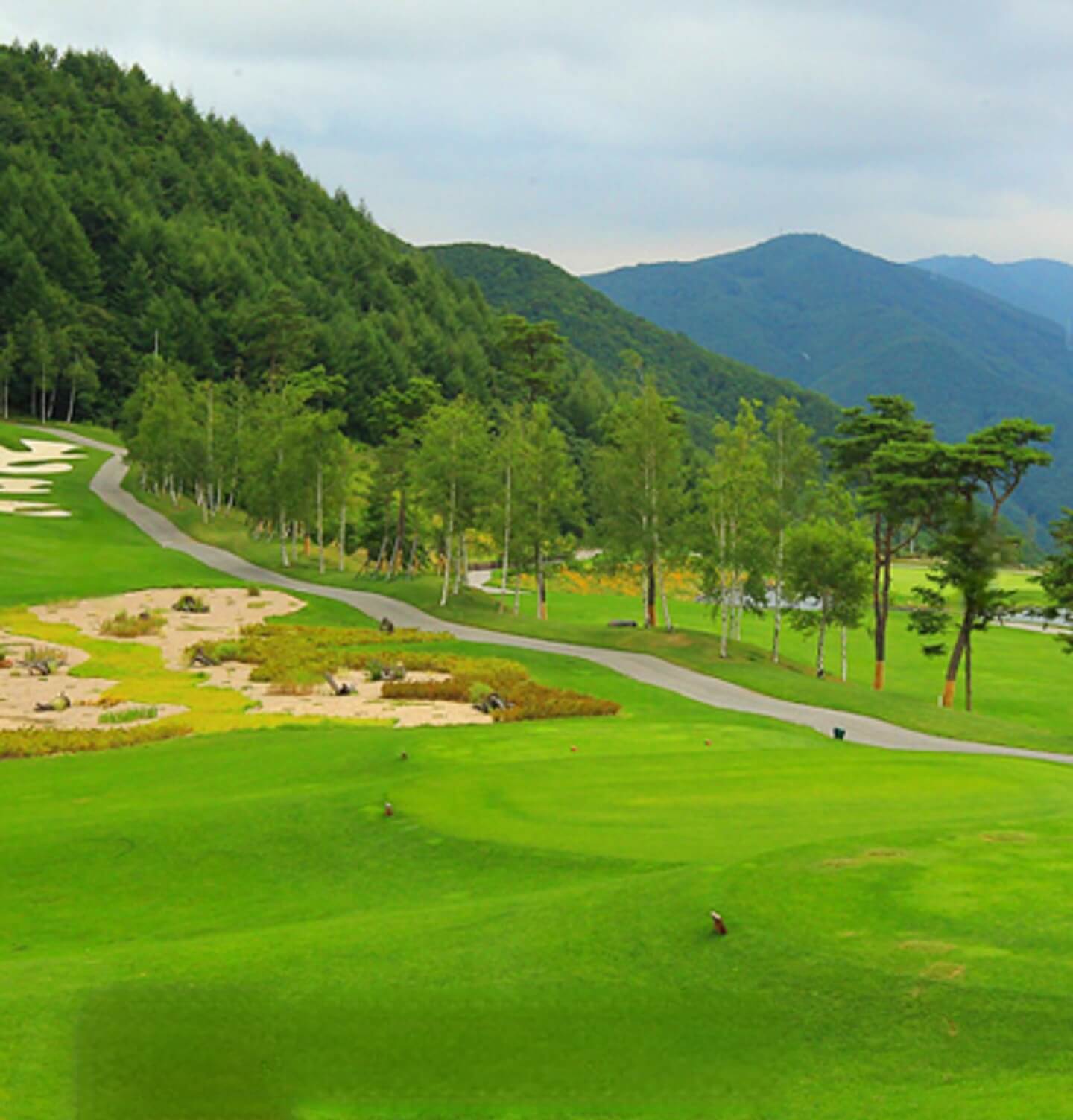 2025 하이원리조트 여자오픈 티켓 주차장 셔틀 갤러리 총정리