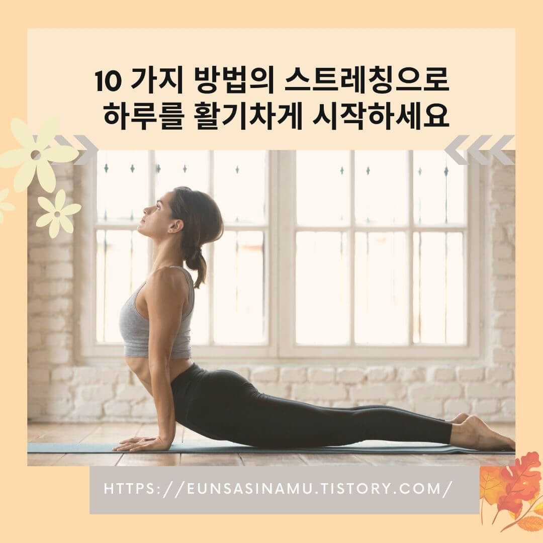10가지 방법의 스트레칭으로 활기찬 하루를 시작하세요