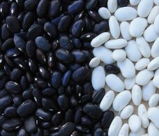 대상포진 초기증상