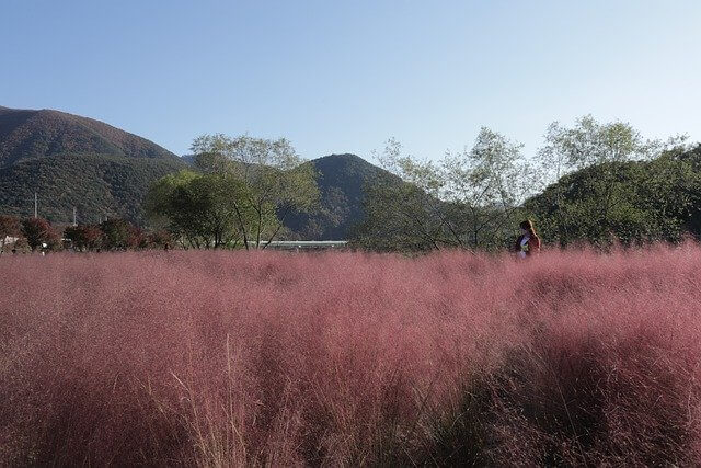제주도 가볼만한곳