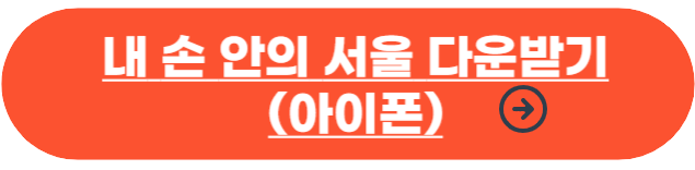 서울 단풍 명소