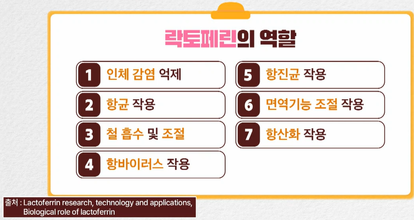 락토페린 효능