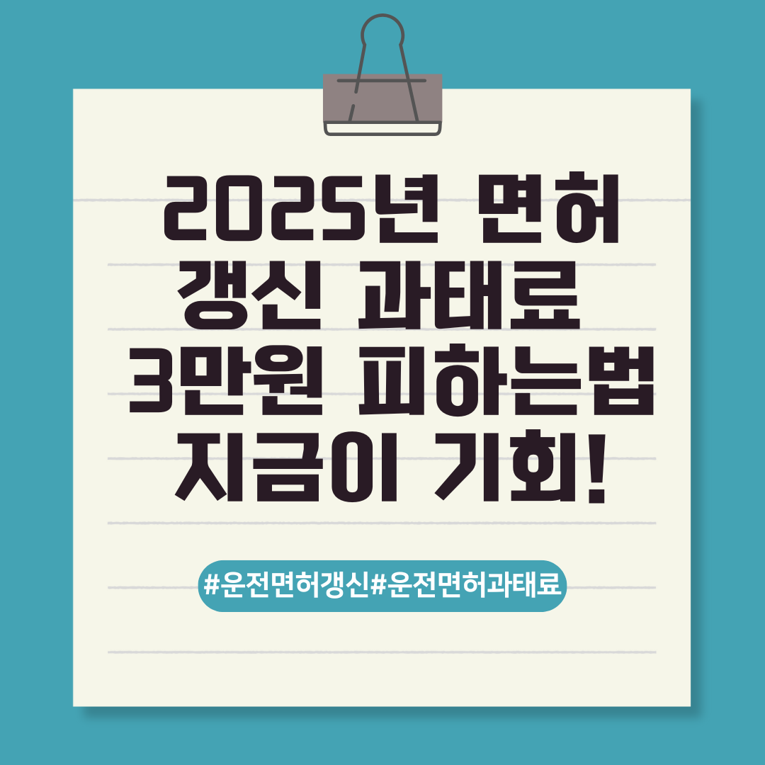 2025년 면허 갱신 과태료 3만원 피하는법 지금이 기회! 텍스트 이미지