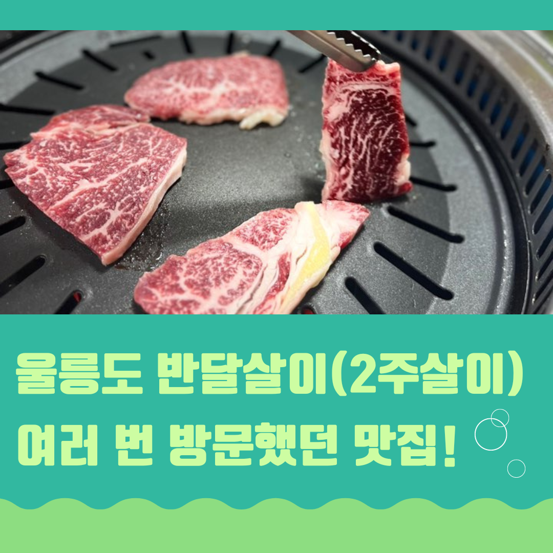 울릉도 맛집 추천